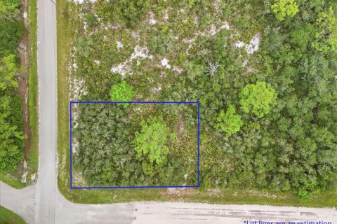 Land in Lake Placid, Florida № 2370686 - photo 9