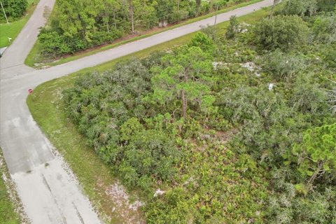 Land in Lake Placid, Florida № 2370686 - photo 8