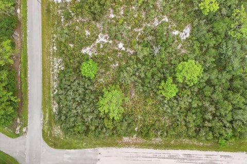Land in Lake Placid, Florida № 2370686 - photo 10