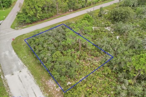 Land in Lake Placid, Florida № 2370686 - photo 7