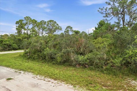 Land in Lake Placid, Florida № 2370686
