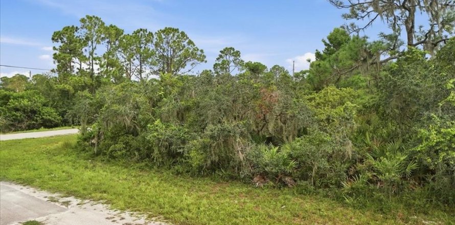 Land in Lake Placid, Florida № 2370686