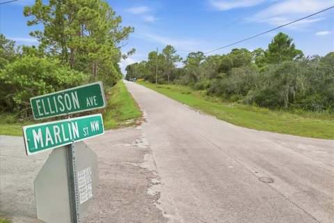 Land in Lake Placid, Florida № 2370686 - photo 4