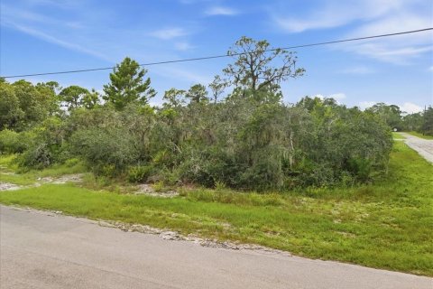 Land in Lake Placid, Florida № 2370686 - photo 5
