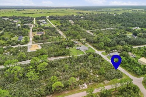 Land in Lake Placid, Florida № 2370686 - photo 14