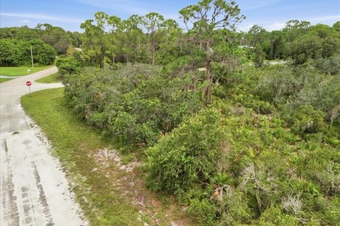 Land in Lake Placid, Florida № 2370686 - photo 6