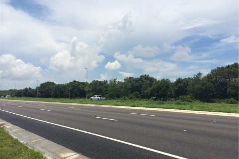 Land in Riverview, Florida № 1295253 - photo 2
