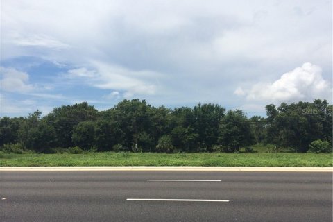 Land in Riverview, Florida № 1295253 - photo 3