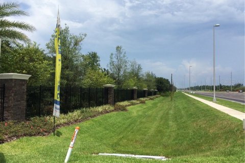 Land in Riverview, Florida № 1295253 - photo 5