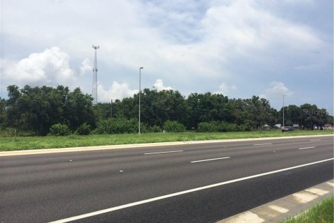 Land in Riverview, Florida № 1295253 - photo 1