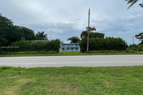 Commercial property in Canal Point, Florida № 1977583 - photo 3