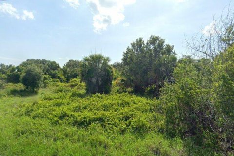 Land in Port Charlotte, Florida № 2159564