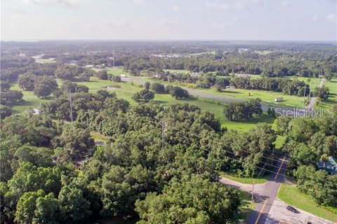 Land in Leesburg, Florida № 1578370 - photo 2