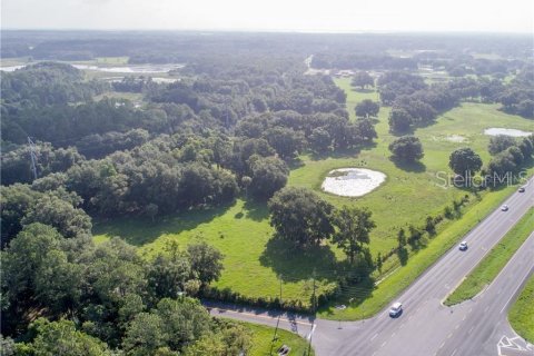 Land in Leesburg, Florida № 1578370 - photo 4