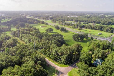 Land in Leesburg, Florida № 1578370 - photo 5