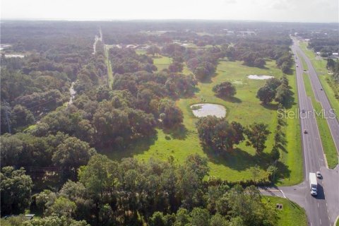 Land in Leesburg, Florida № 1578370 - photo 3