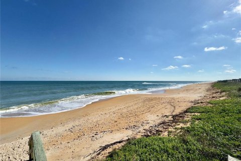 Appartement à louer à Flagler Beach, Floride: 1 chambre, 53.88 m2 № 2425355 - photo 6