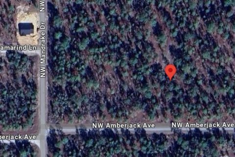 Land in Dunnellon, Florida № 2165842 - photo 7