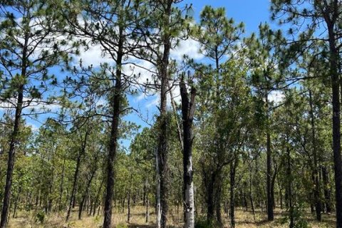 Land in Dunnellon, Florida № 2165842 - photo 2