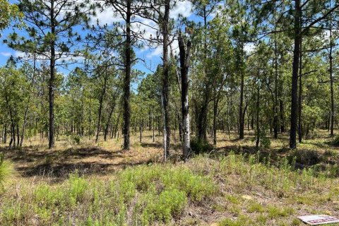 Land in Dunnellon, Florida № 2165842