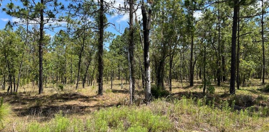 Land in Dunnellon, Florida № 2165842