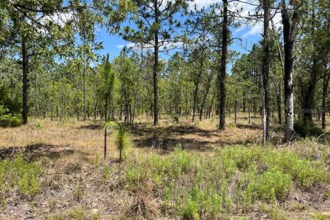 Land in Dunnellon, Florida № 2165842 - photo 3