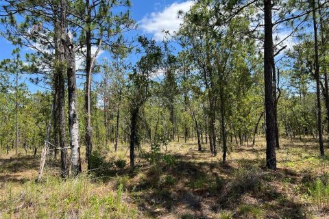 Land in Dunnellon, Florida № 2165842 - photo 4