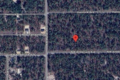 Land in Dunnellon, Florida № 2165842 - photo 6