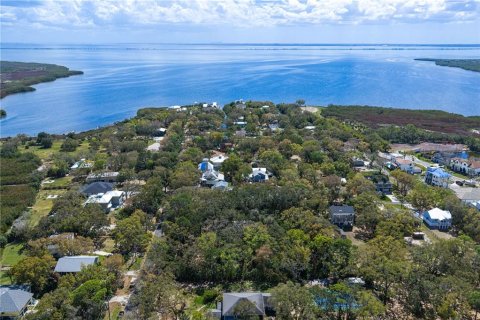 Land in Tampa, Florida № 2143519 - photo 26