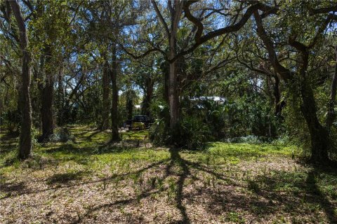 Land in Tampa, Florida № 2143519 - photo 9