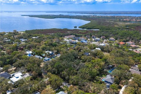 Land in Tampa, Florida № 2143519 - photo 25