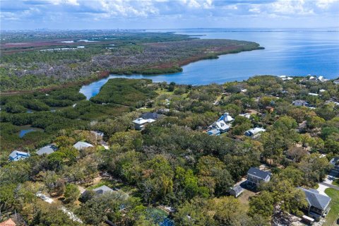 Land in Tampa, Florida № 2143519 - photo 27