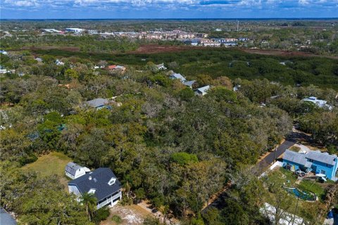 Land in Tampa, Florida № 2143519 - photo 20