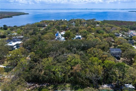 Land in Tampa, Florida № 2143519 - photo 17