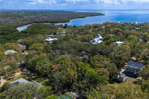 Land in Tampa, Florida № 2143519 - photo 18