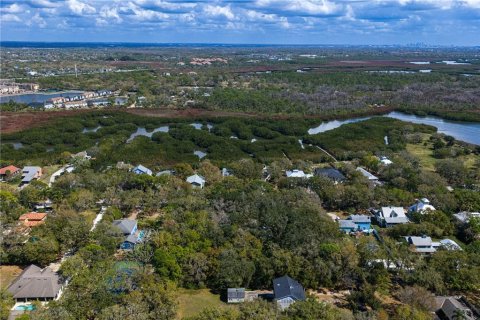 Land in Tampa, Florida № 2143519 - photo 28