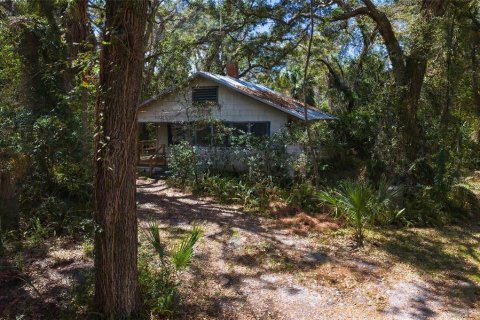 Land in Tampa, Florida № 2143519 - photo 5