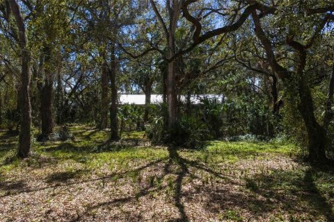 Land in Tampa, Florida № 2143519 - photo 4