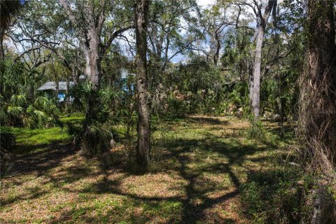 Land in Tampa, Florida № 2143519 - photo 7