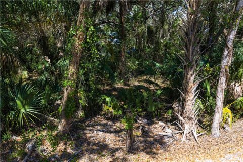 Land in Tampa, Florida № 2143519 - photo 13