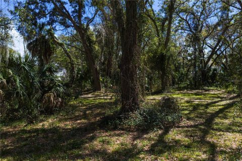 Land in Tampa, Florida № 2143519 - photo 10