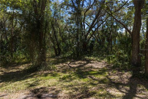Land in Tampa, Florida № 2143519 - photo 12