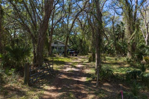 Land in Tampa, Florida № 2143519 - photo 3