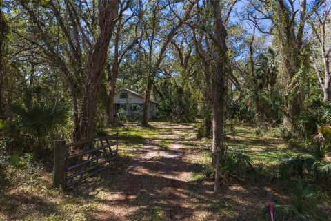 Land in Tampa, Florida № 2143519 - photo 6