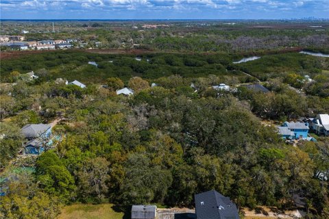 Land in Tampa, Florida № 2143519 - photo 19