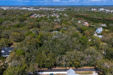 Land in Tampa, Florida № 2143519 - photo 21