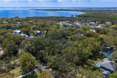 Land in Tampa, Florida № 2143519