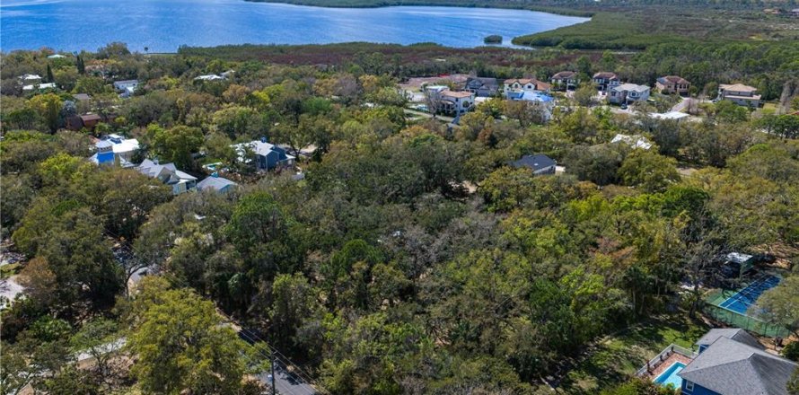 Land in Tampa, Florida № 2143519