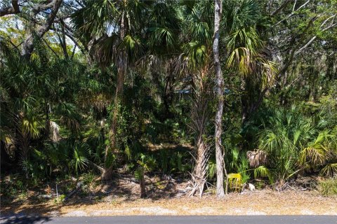 Land in Tampa, Florida № 2143519 - photo 14
