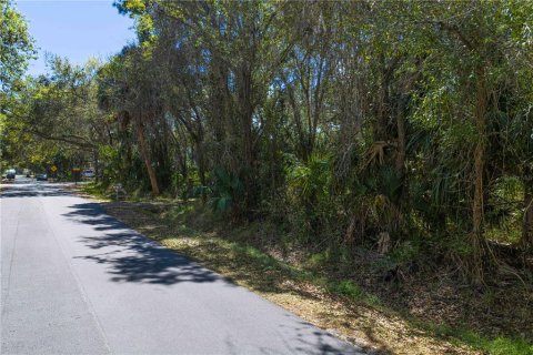 Land in Tampa, Florida № 2143519 - photo 15